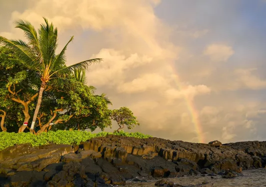 Cliff by the ocean with tall trees and a rainbow in the background