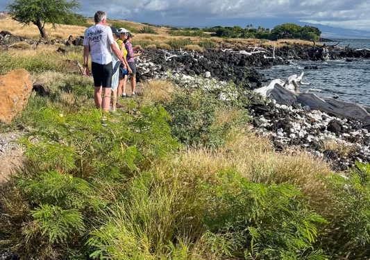 Group of people walking on a grassy path with the ocean to the right