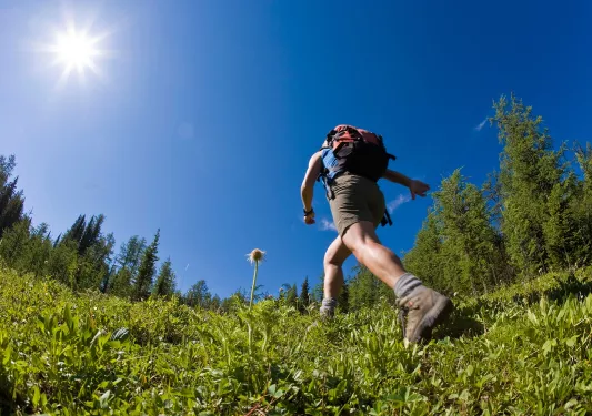 Ground view of a person walking in a grassy field, with tall trees in the distance