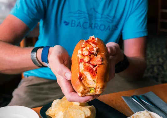 Person holding up a lobster roll