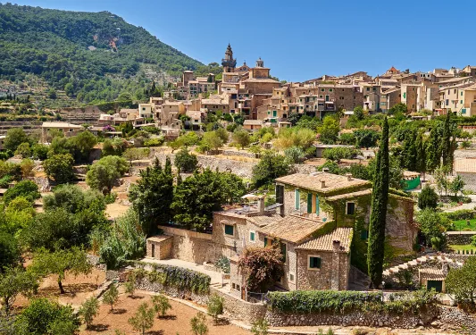 Rustic, stone buildings and houses on a hills, with tree-covered hills in the distance