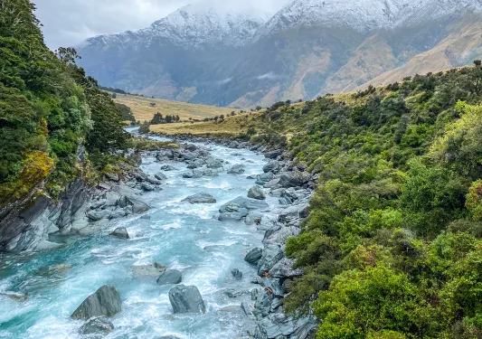 Active river with large boulders in the water, surrounded by plants and tall trees