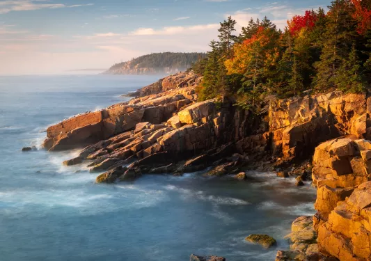 Edge of a cliff with the ocean and large trees