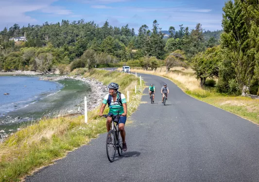 Three people biking on an empty road, with the ocean to the left and large trees in the background