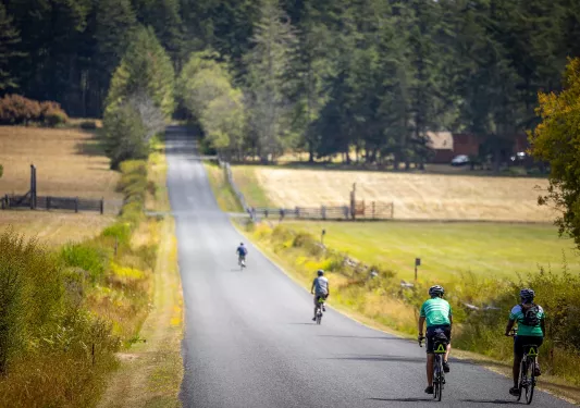 Group of people biking on an empty road, very spread apart from each other