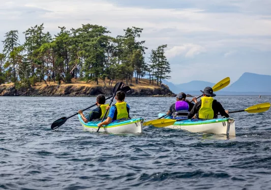Two groups of people in white kayaks paddling in a lake