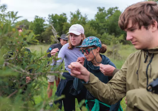 Group of people looking at a plant in the middle of a large valley