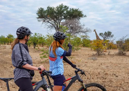 Two backroads cyclists admire a giraffe in the distance on a safari