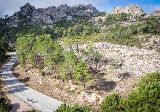 Two bikers on a road next to a large forest
