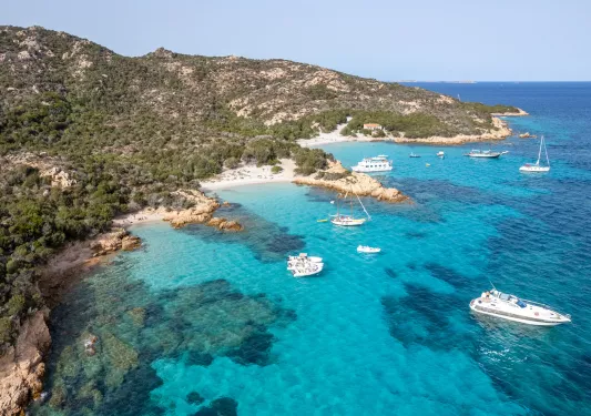 Sky view of an ocean shore next to a large forest