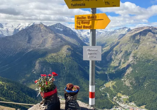 Boots with plants on top of a hill, with mountains in the distance