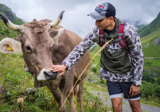 Man petting a cow in the middle of a field