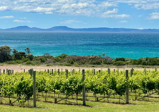 Valley of crops with a view of the ocean in the background