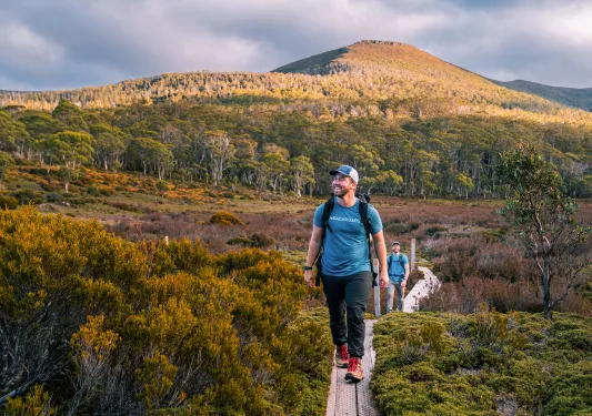 Man walking across a path surrounded by trees and plants