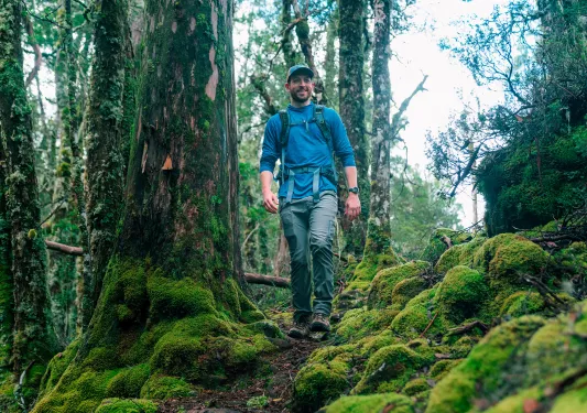 Man wearing a backpack, descending a trail in the forest