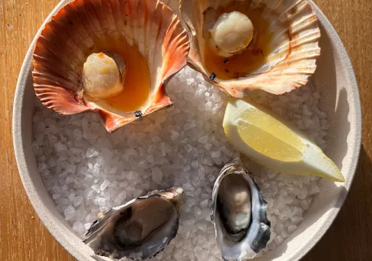 Plate with ice, and oysters and scallops on top