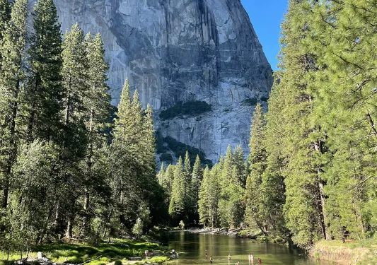 Forest with a lake in front and a large mountain in the background