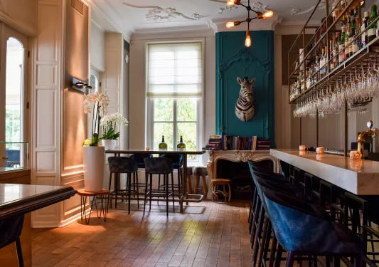 Indoor bar and lounge with a zebra head hanging on the wall