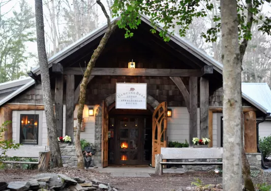 Exterior view of wooden cabin building with skinny trees in front