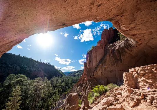 View of orange canyons to the right and green trees to the left