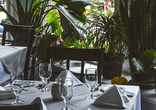 Dining table with white cloth and wine glasses, with plants in the background