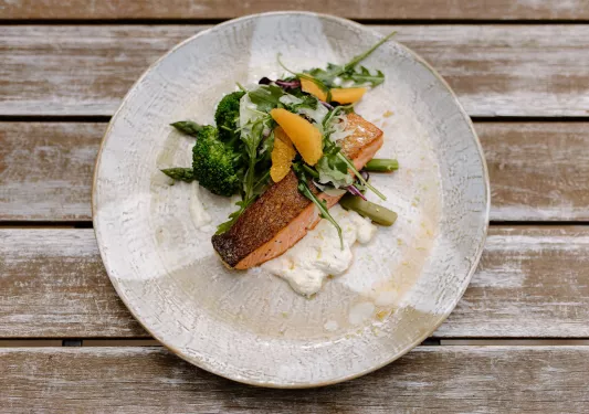 Plate with grilled fish and a salad