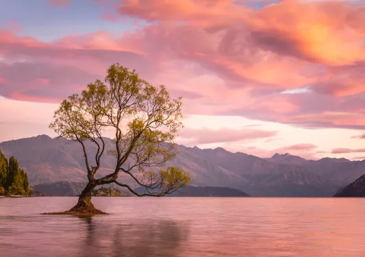 Open lake with a tree sticking out from the lake, with the sunset in the background
