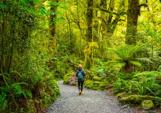 Woman walking in a forest on a gravel trail