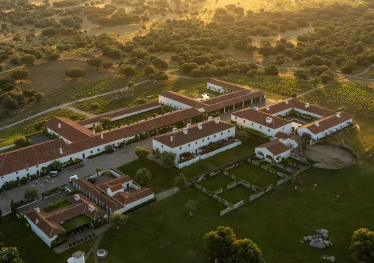 Sky view of large white buildings with a valley of trees in the distance