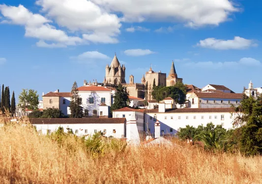 Wide view of white buildings, with a stone, castle-like building in the distance