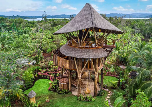 Funky treehouse in the jungle