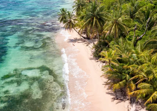 Sky view of beach with a jungle to the right