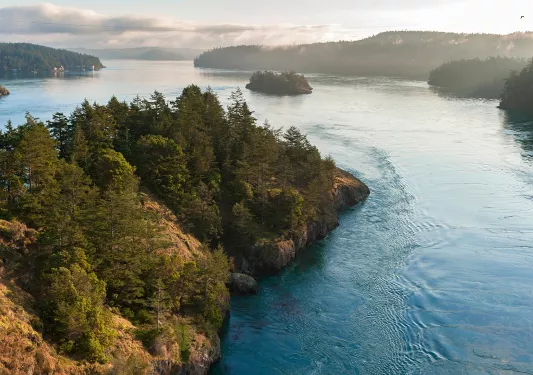 Sky view of a large cliff by the ocean, covered in trees
