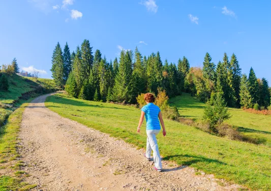 Backroads guest walks on a dirt road with trees next to it