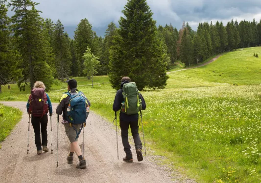 Group of people wearing backpacks and using hiking poles while walking on a dirt trail