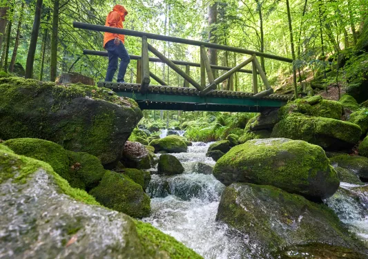 Person wearing an orange jacket, walking on a wooden bridge over a river in a forest