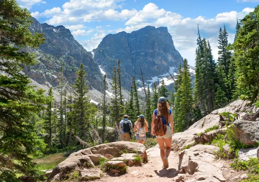 Group of people walking down a gravel trail on a hill, surrounded by tall trees