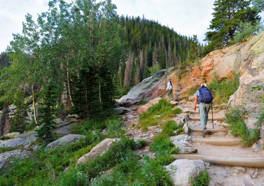People walking up stairs in the middle of a forest towards the top of a mountain