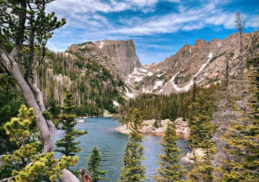 Large lake in a forest surrounded by tall trees