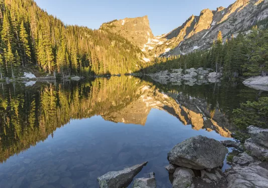 Large lake in the middle of a forest