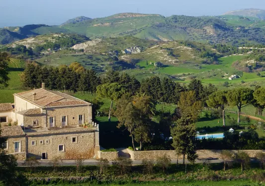 Sky view of grass field and large hills with tall trees