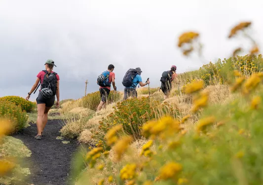 Backroads guests hike through a flowering field