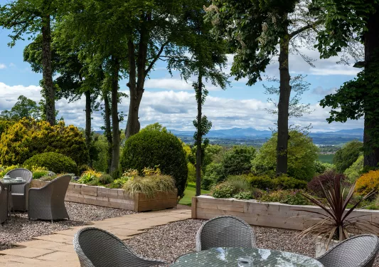 Outdoor patio with woven chairs and glass tables, with large bushes and trees in the background