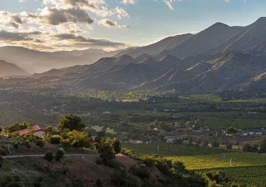 Large valley of trees and crops with houses in between