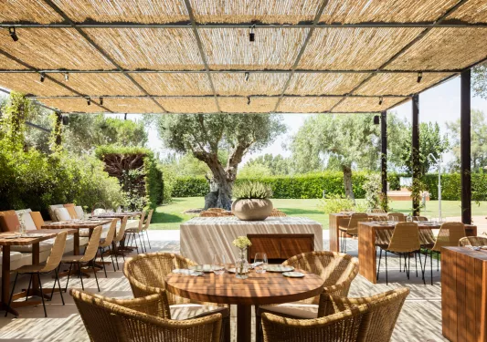 Outdoor patio with woven chairs and wooden tables under a straw gondola