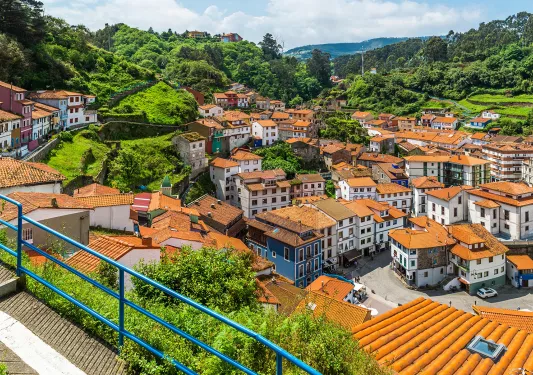 Bundle of white and brown houses in a town center