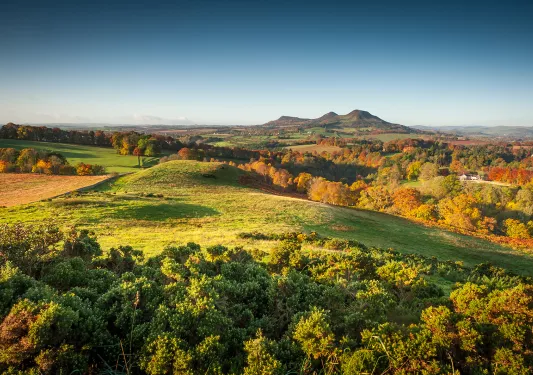 Large, grassy hills with orange and red trees