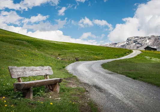 Rocky trail in the middle of a grass valley