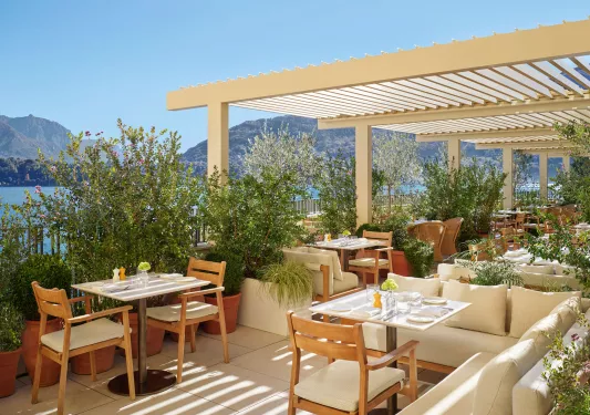 Outdoor patio with large bushes and dining tables