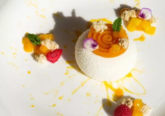 Plated dessert with a white ball and fruit decorations around